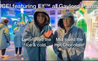 ICE! featuring Elf™ at Gaylord Palms