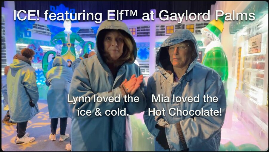 ICE! featuring Elf™ at Gaylord Palms
